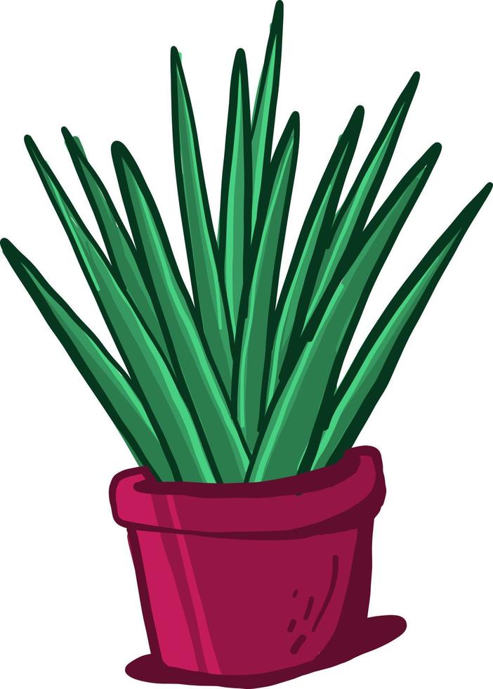 Yucca im Topf, Illustration, Vektor auf weißem Hintergrund