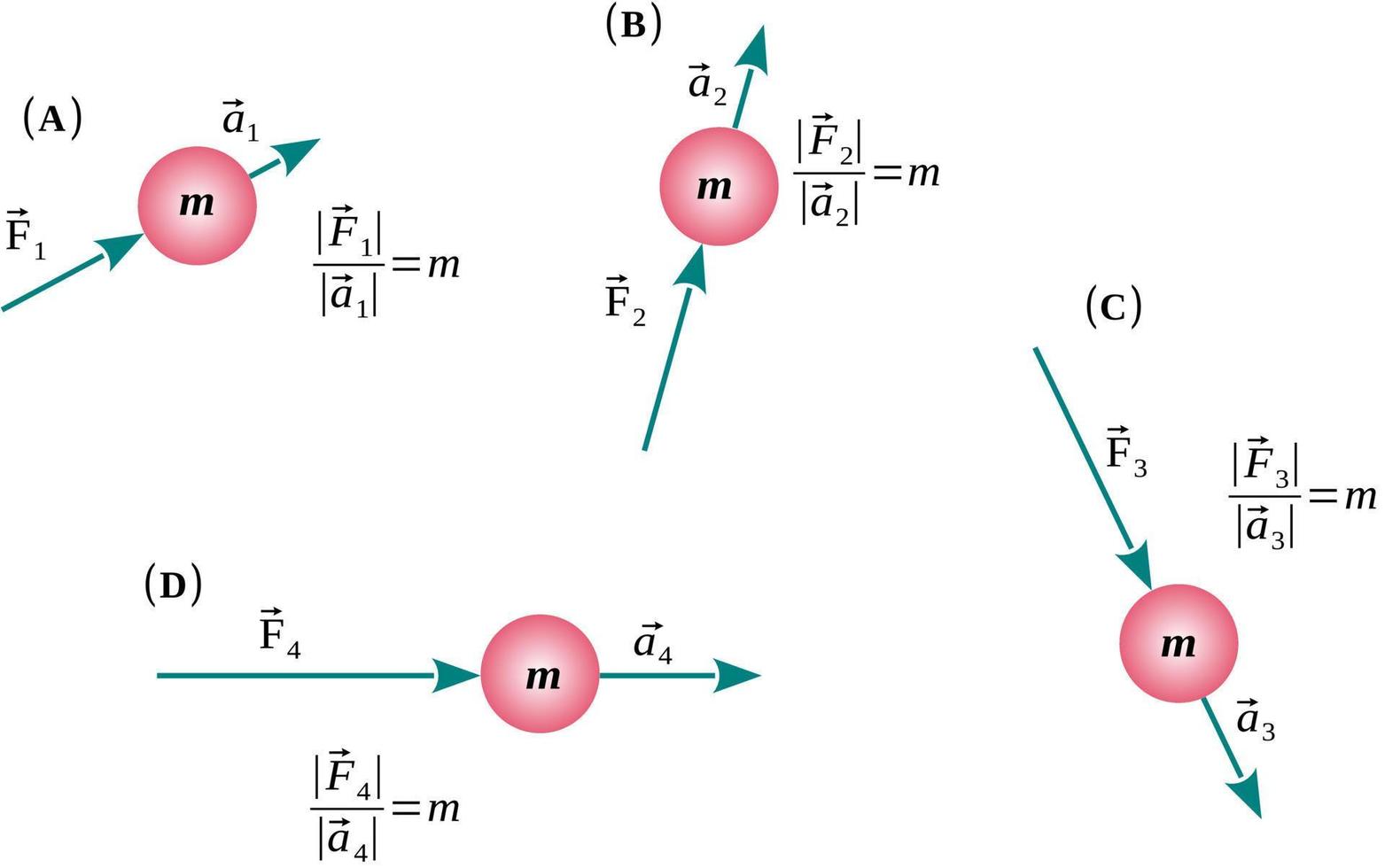 newtons andra lag av rörelse eller grundläggande princip av dynamik vektor