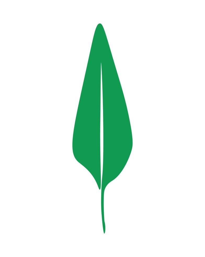 vektor illustration av grön löv