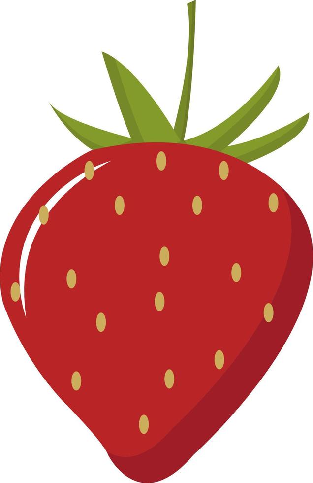rote Erdbeere, Illustration, Vektor auf weißem Hintergrund.