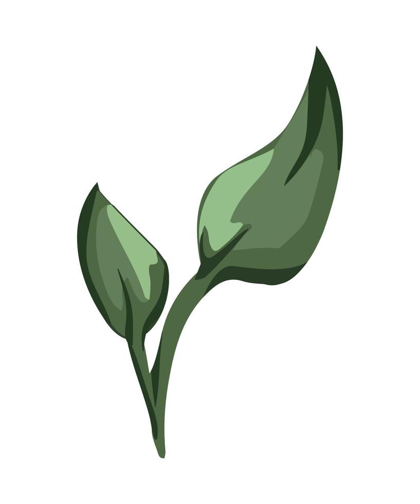 Vektor-Illustration der Blume vektor