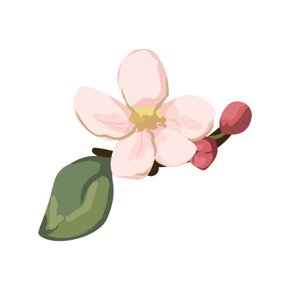 Vektor-Illustration der Blume vektor