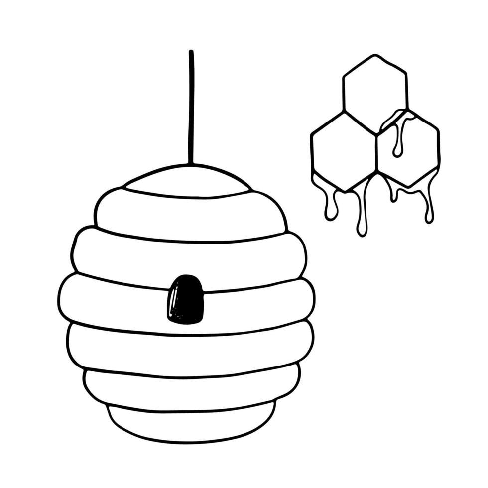 Bienenstock und Waben mit Honigtropfen-Doodle-Symbol. hand gezeichnete vektorillustration lokalisiert auf weißem hintergrund. vektor