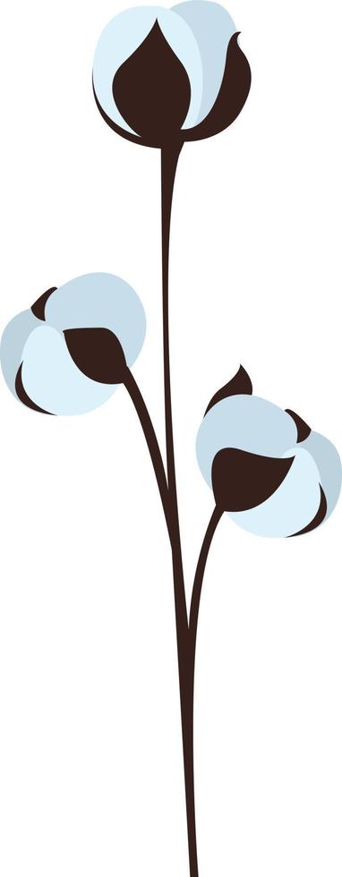 bomull blomma, illustration, vektor på vit bakgrund.