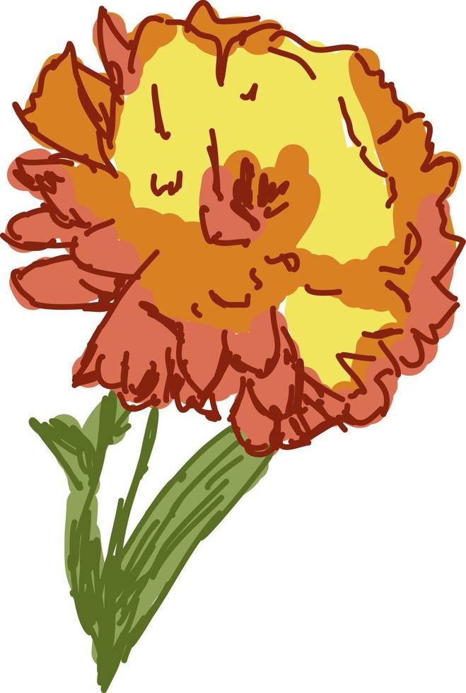 Orangenblüte, Illustration, Vektor auf weißem Hintergrund.