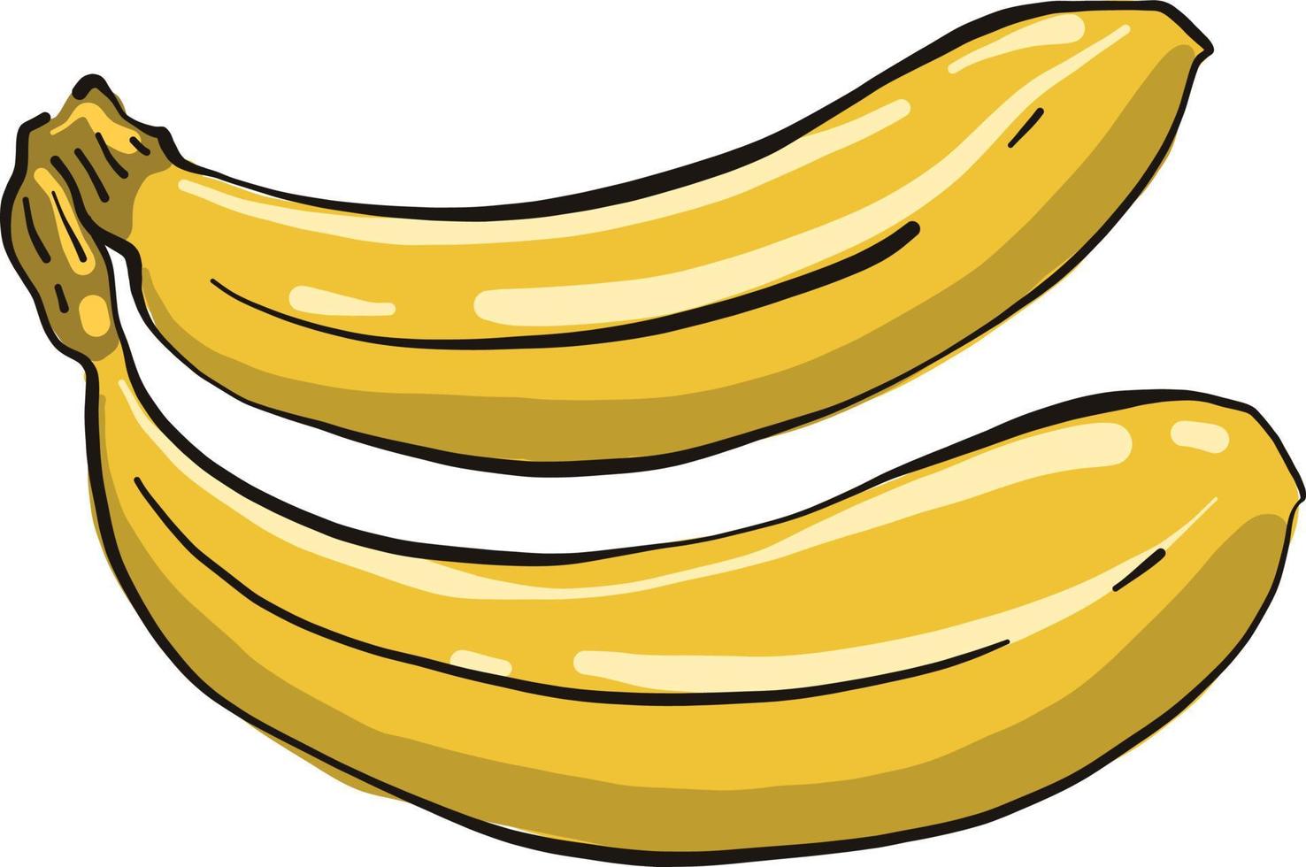 gelbe Banane, Illustration, Vektor auf weißem Hintergrund.