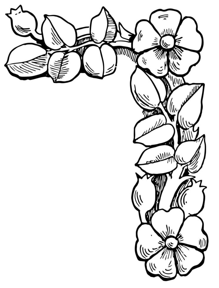 Blume in der Rahmenecke, Vintage-Gravur. vektor