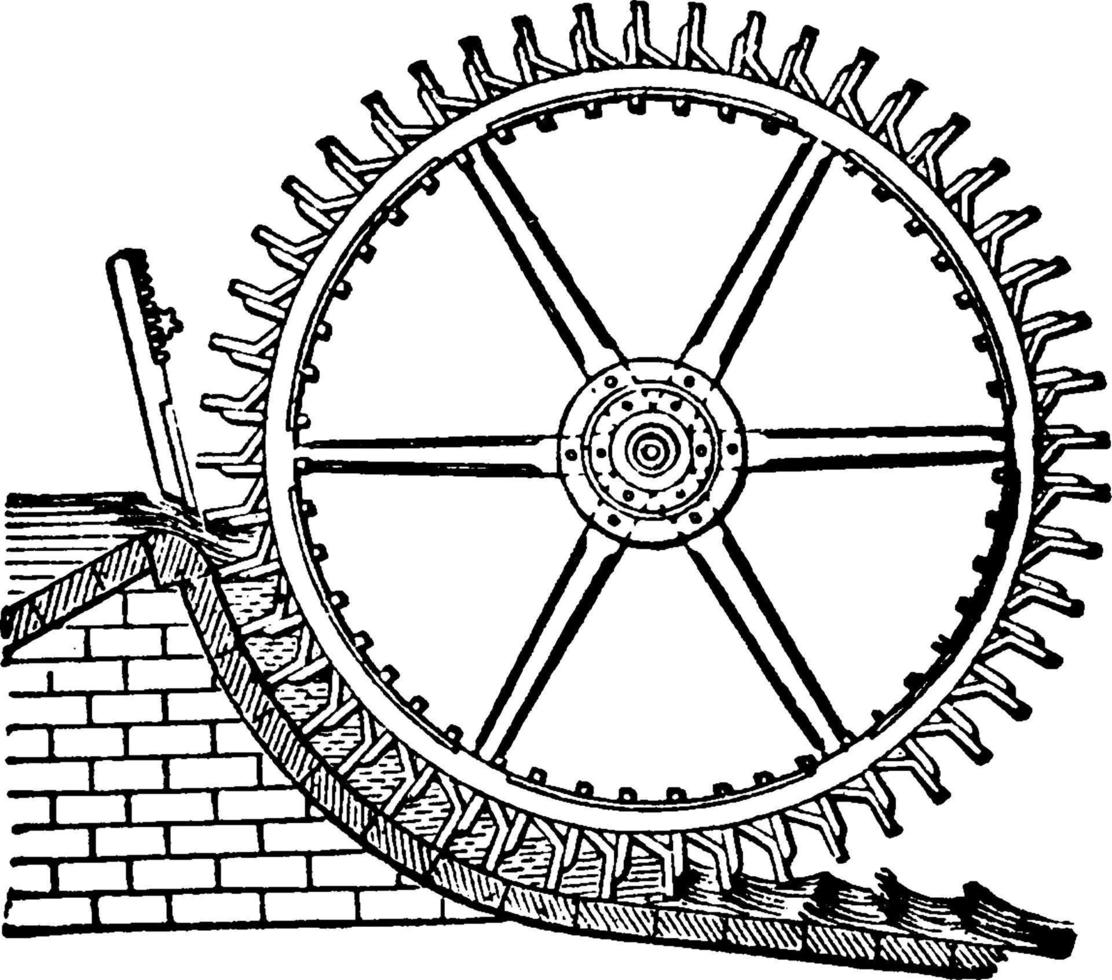 brösthjul, årgång illustration. vektor