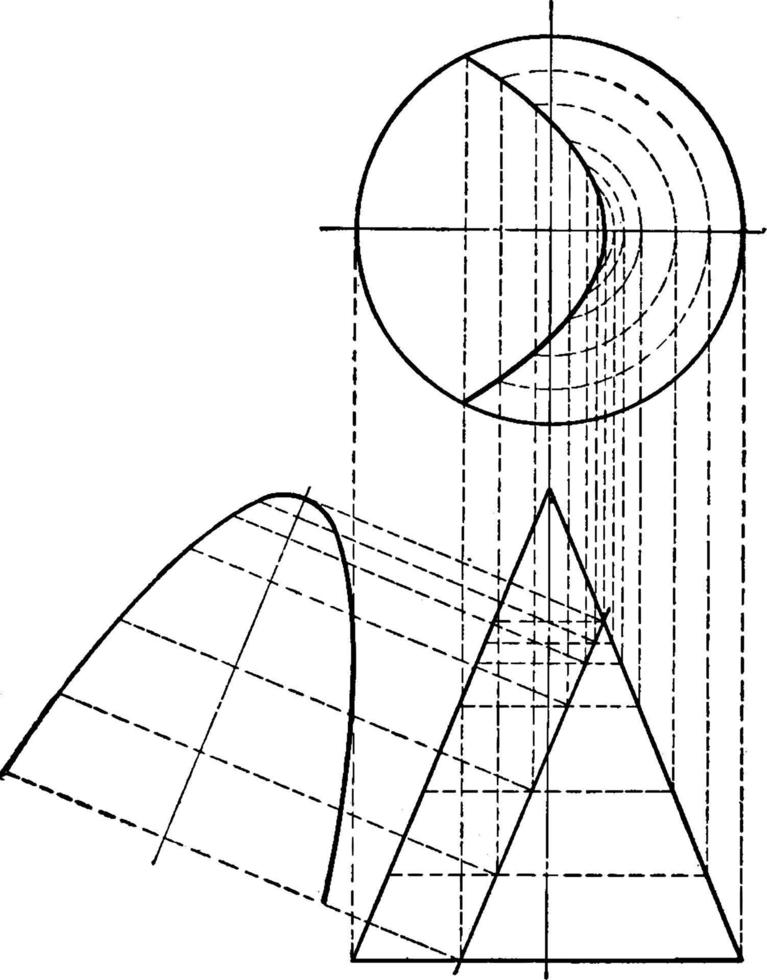 konisk sektion av parabel, årgång illustration. vektor