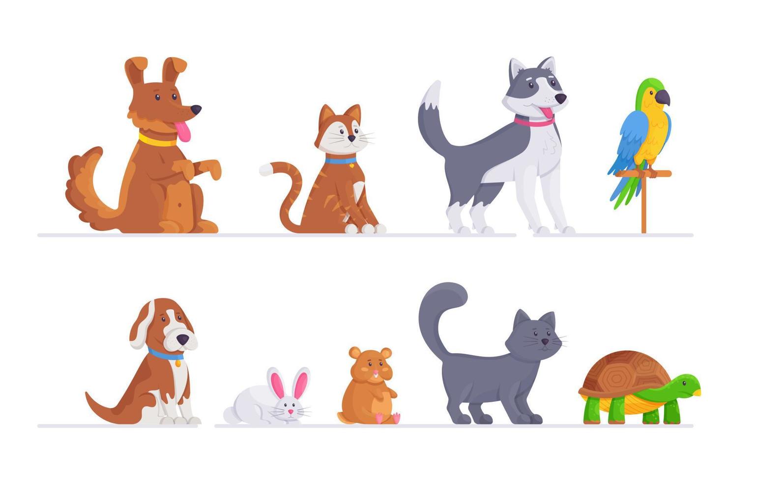en uppsättning av annorlunda djur. vektor illustration av katter, hundar, hamster, papegoja, sköldpadda och Övrig husdjur isolerat på vit bakgrund. Zoo.