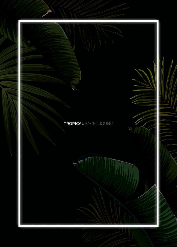 mörk tropisk sommar design med banan handflatan löv, lysande ram och Plats för text. vektor flygblad, baner eller kort mall. sommar vektor bakgrund.
