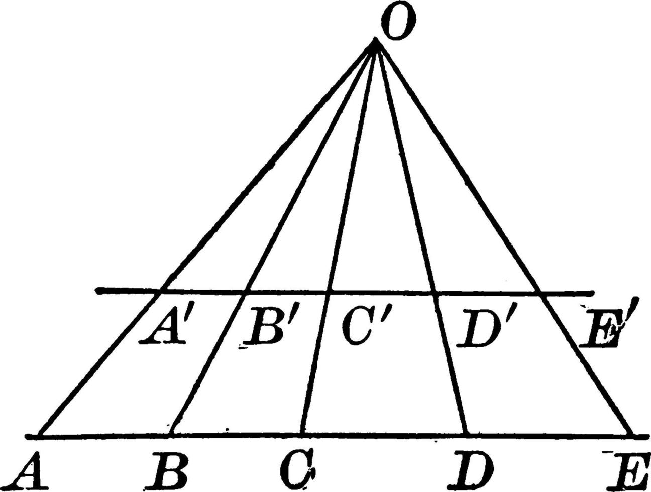 zwei parallele Linien, die von Transversalen geschnitten werden, Vintage-Illustration. vektor