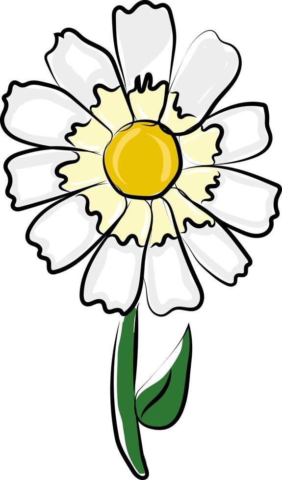 einfache Gänseblümchenblume, Illustration, Vektor auf weißem Hintergrund.