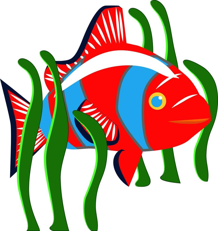 Roter Fisch, Illustration, Vektor auf weißem Hintergrund.