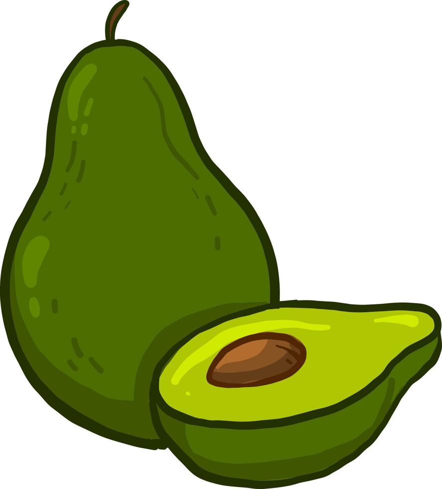 grüne frische Avocado, Illustration, Vektor auf weißem Hintergrund