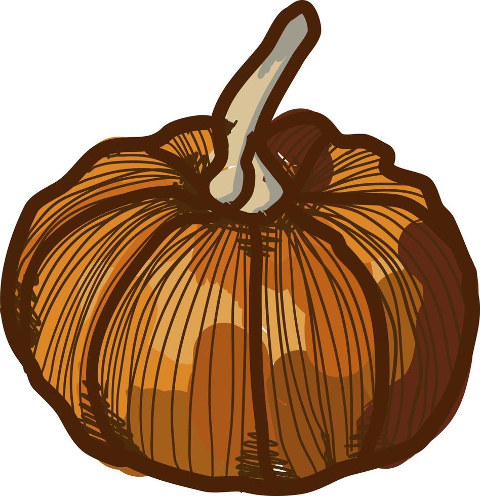 mini pumpa, illustration, vektor på vit bakgrund