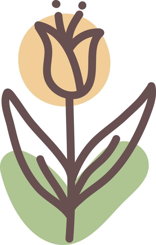 orange tulipan blomma, illustration, vektor på en vit bakgrund.