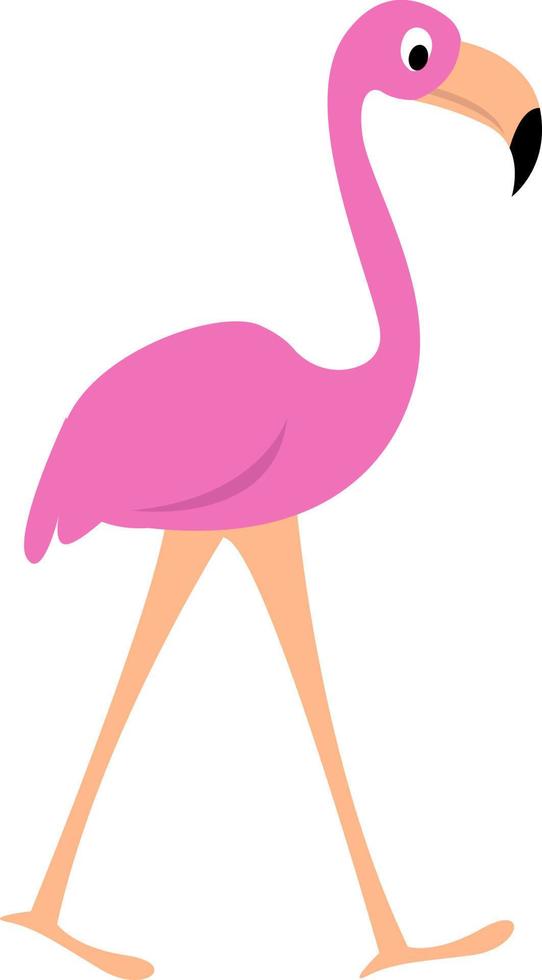 Rosa Flamingo, Illustration, Vektor auf weißem Hintergrund.