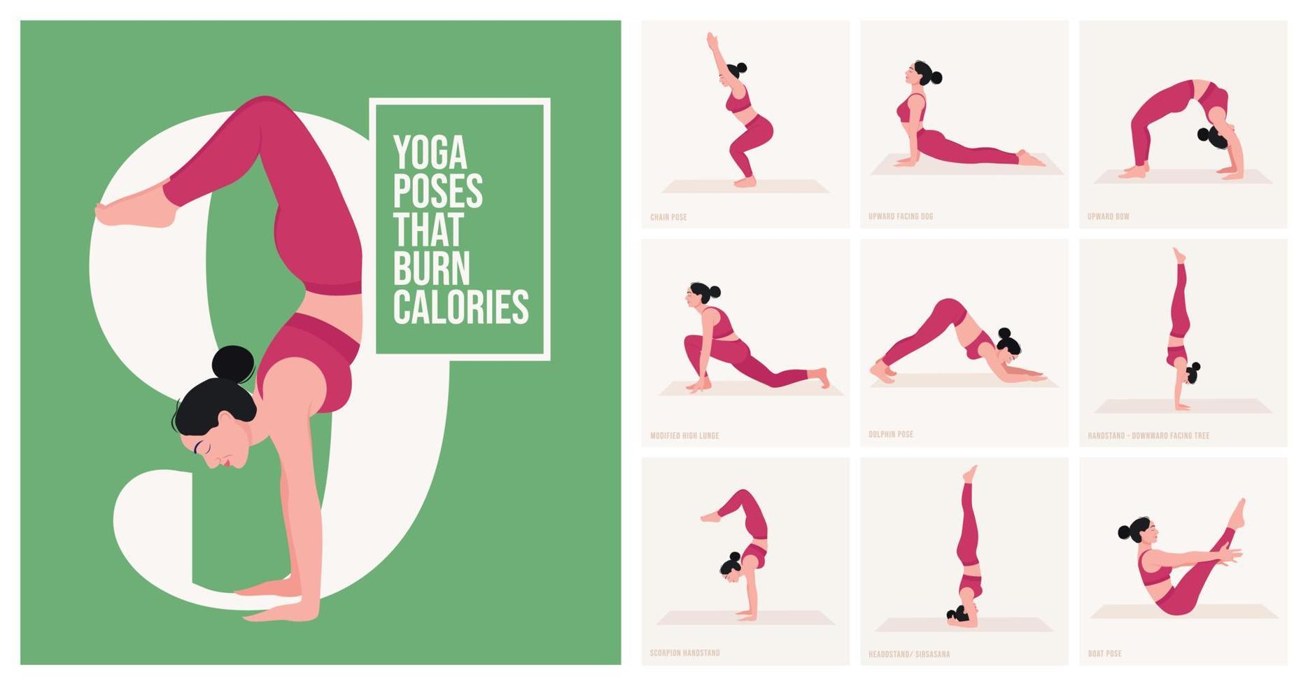 Yoga-Übungen, die Kalorien verbrennen. junge Frau, die Yoga-Pose praktiziert. Frau Workout Fitness, Aerobic und Übungen. Vektor-Illustration. vektor