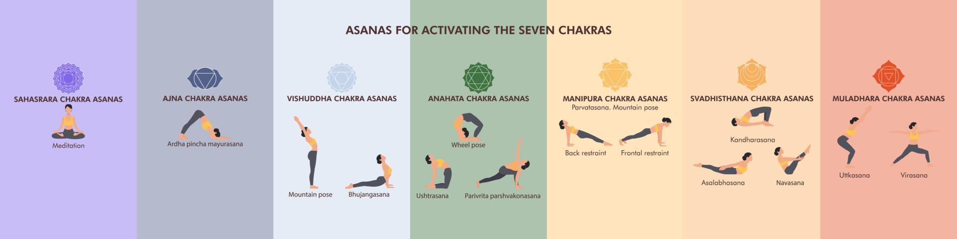 Asanas zur Aktivierung der sieben Chakren. Infografik-Vektorbanner mit verschiedenen Yogi-Posen für einen gesunden Körper und Energie. Frauen, die Yoga-Asanas demonstrieren vektor