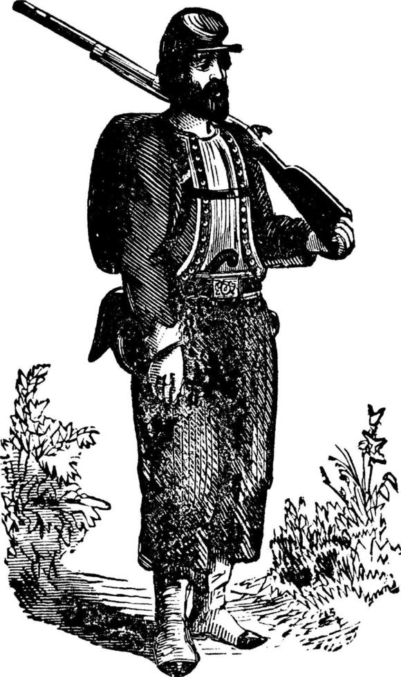 ellsworth zouave, vintage illustration. vektor