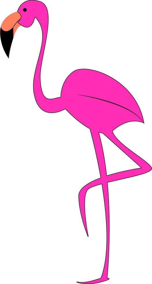 eine langbeinige Flamingo-, Vektor- oder Farbillustration. vektor