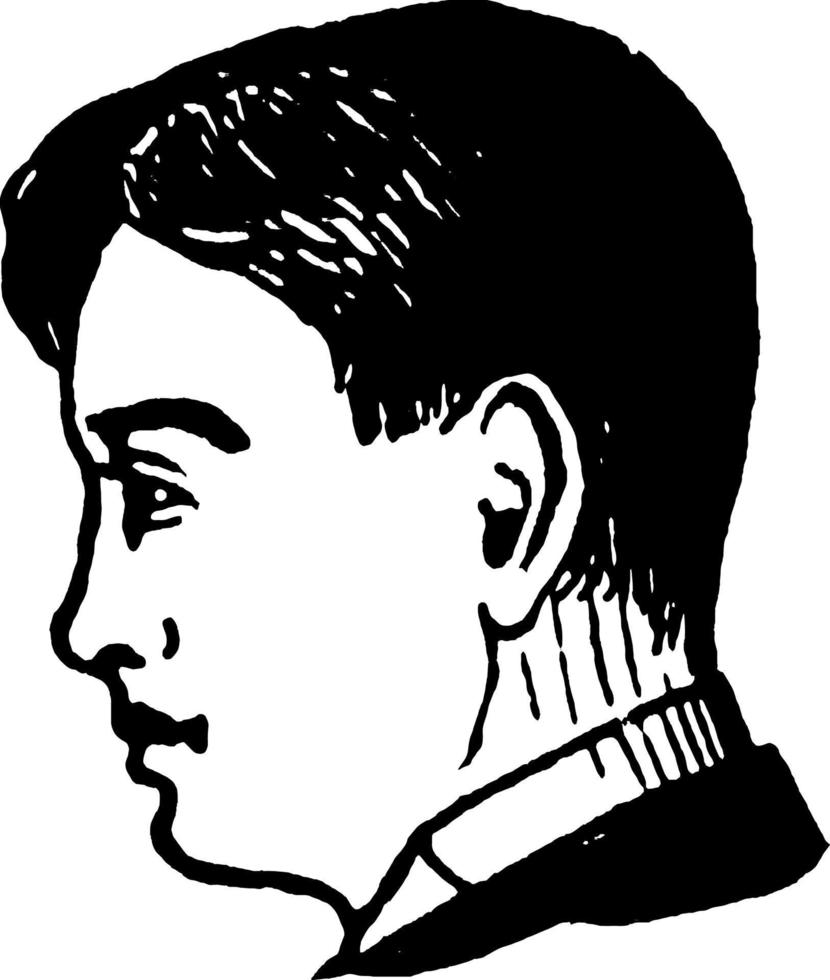 mannens profil, årgång illustration. vektor