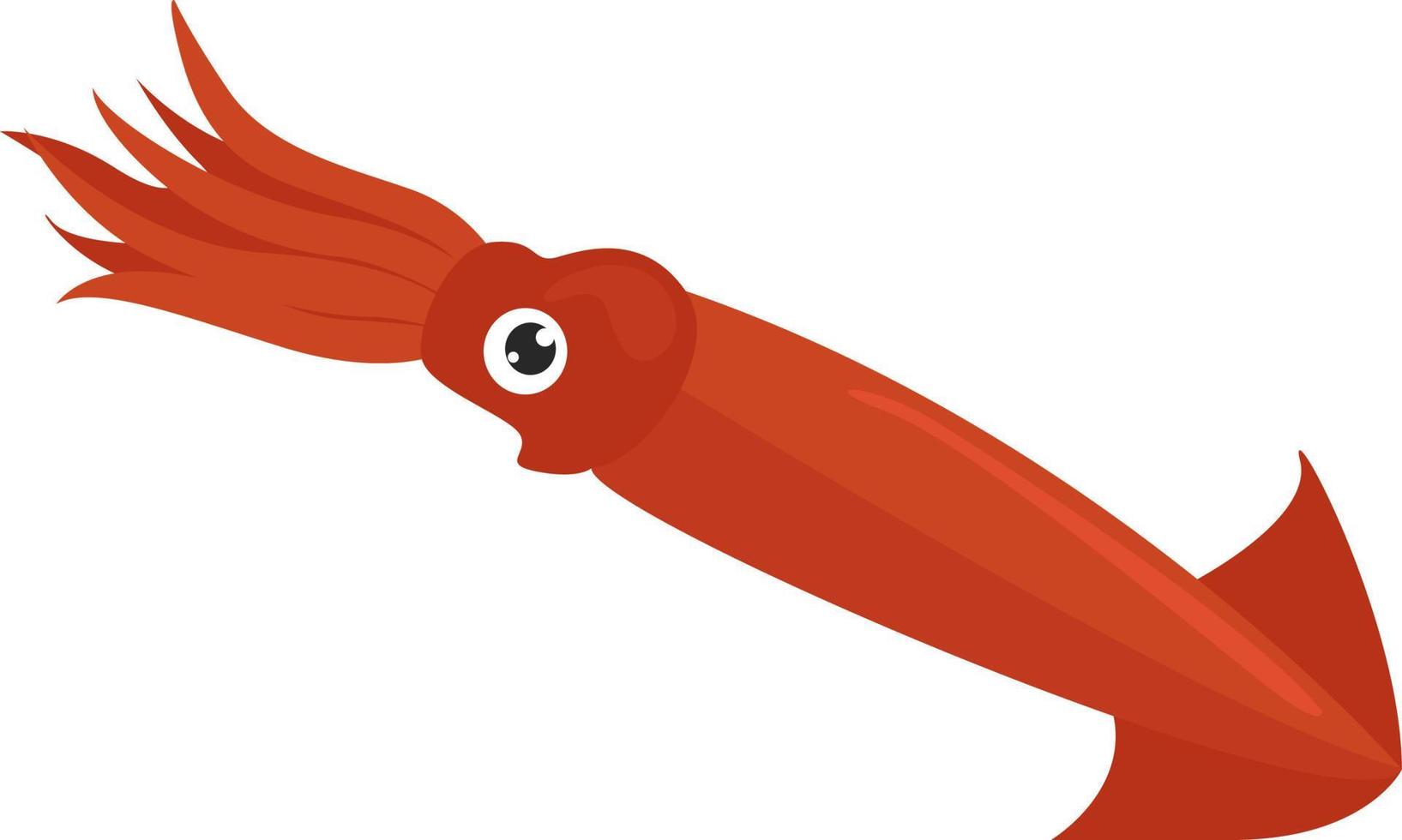 Roter Tintenfisch, Illustration, Vektor auf weißem Hintergrund