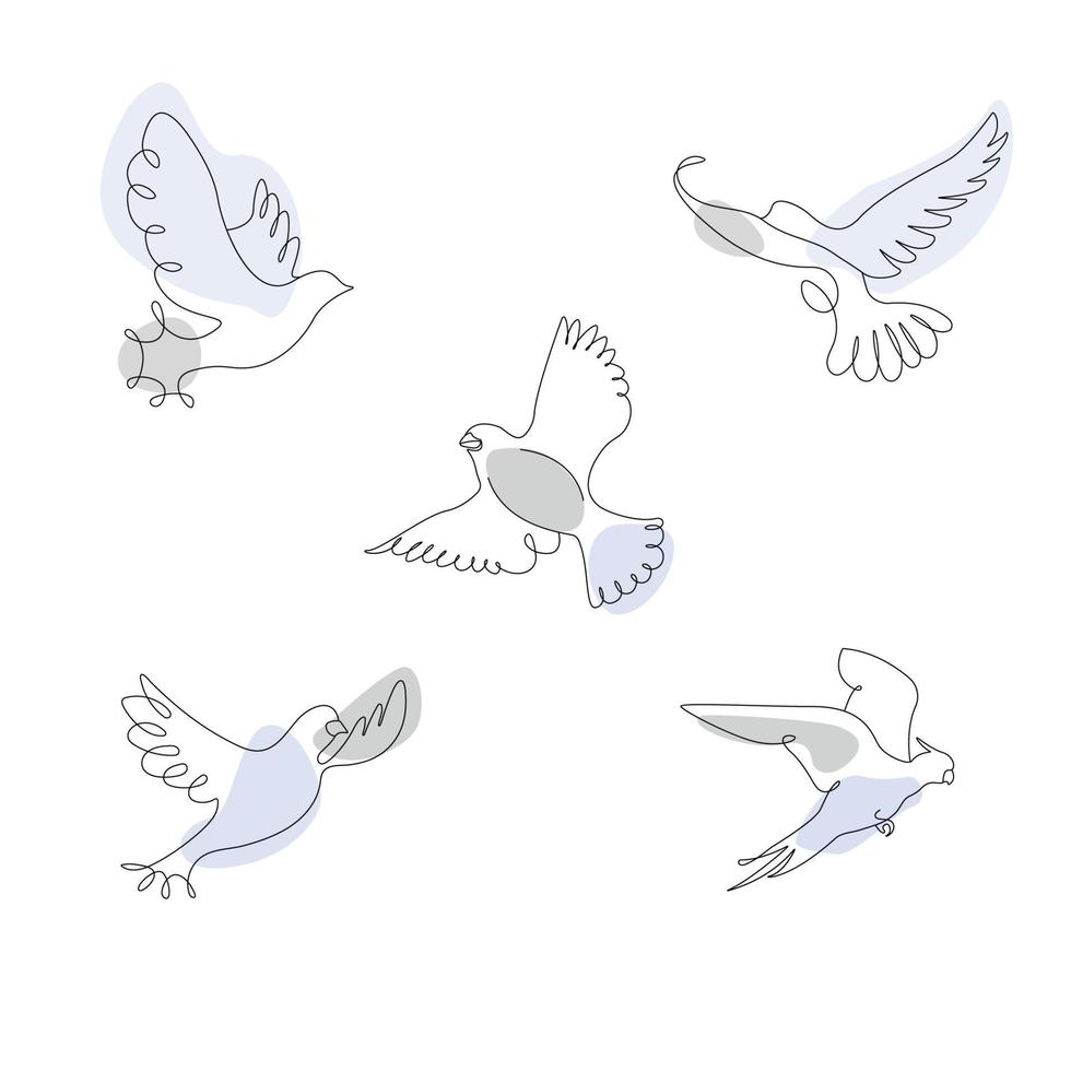 Strichzeichnungen von Vögeln in fünf verschiedenen Winkeln, Vektorgrafik vektor