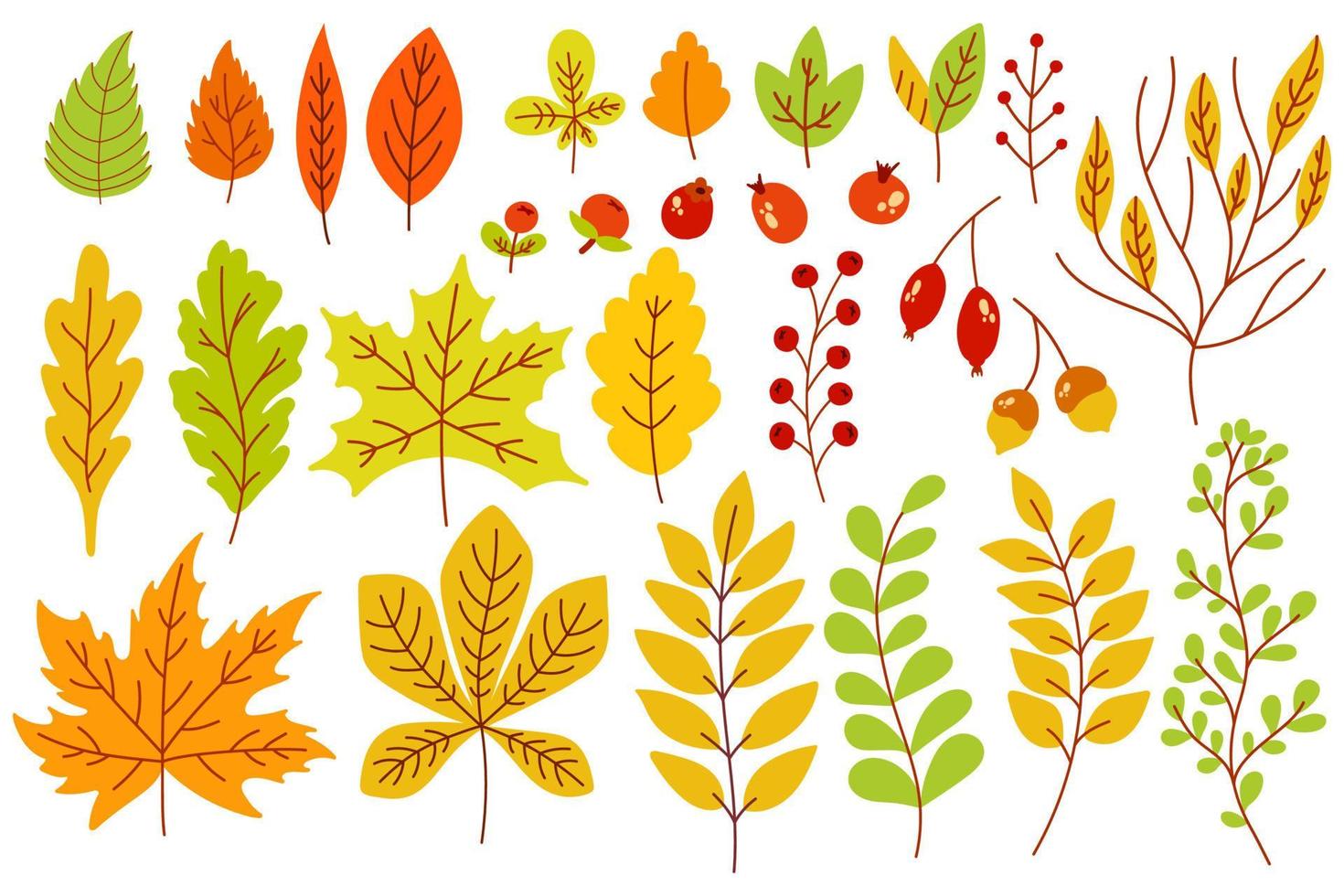 Reihe von bunten Herbstblättern und Beeren. isoliert auf weißem Hintergrund. einfacher Cartoon-Flat-Stil. Vektor-Illustration. vektor