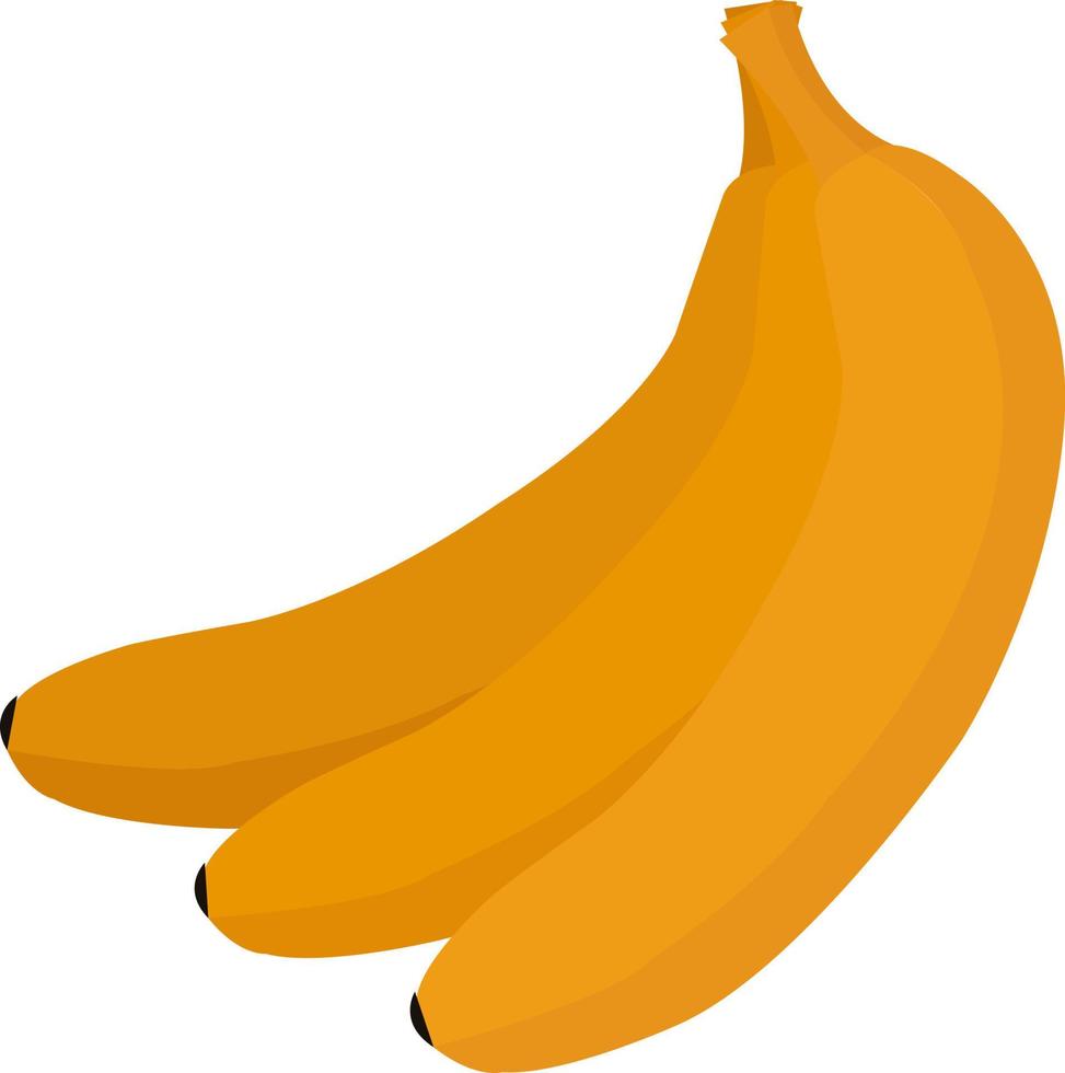 frische Banane, Illustration, Vektor auf weißem Hintergrund.