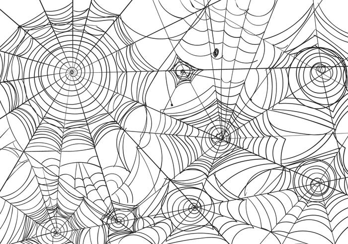 Schwarz-Weiß Spiderweb Vektor-Illustration vektor