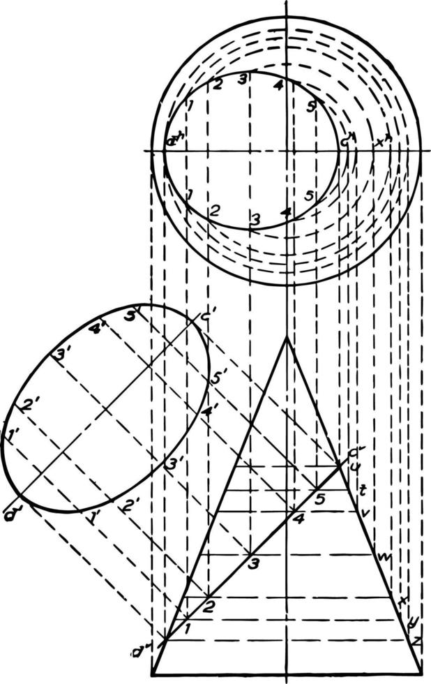 Kegelschnitt mit Ellipsenweinleseillustration. vektor