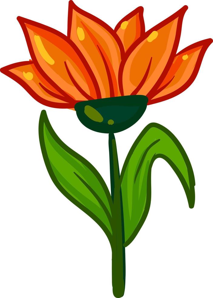 orange blomma, illustration, vektor på vit bakgrund