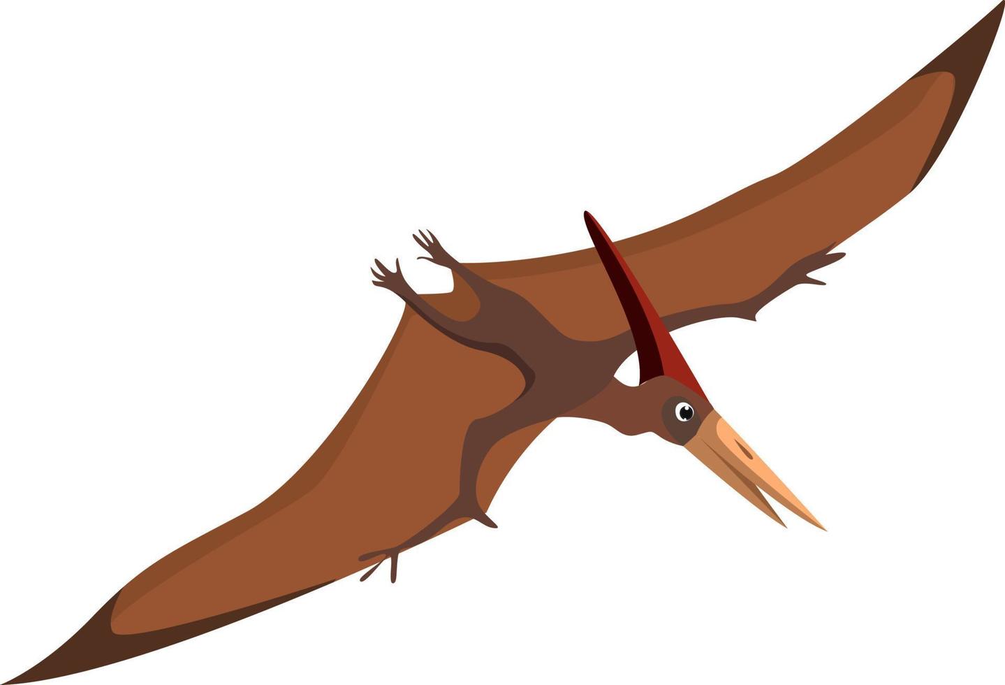 pterodactylus, illustration, vektor på vit bakgrund