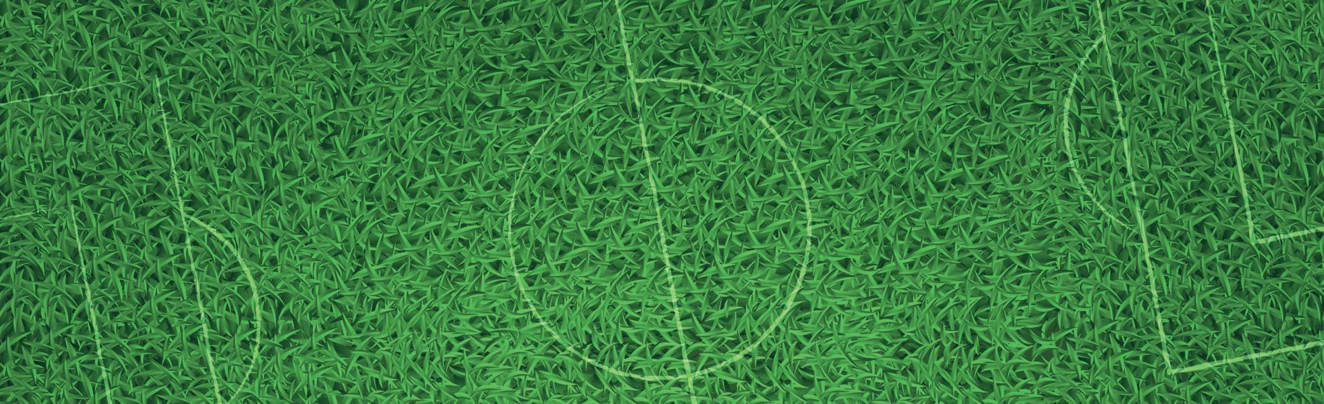 Panorama grüner Hintergrund realistischer Gras-Fußballrasen mit Markierungen - Vektor