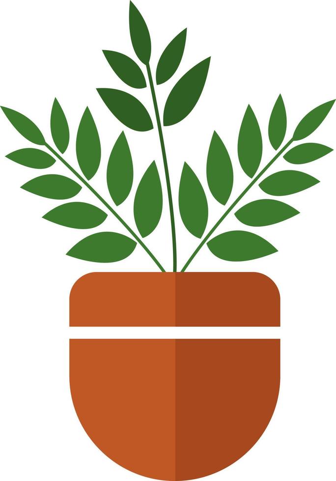 Pflanze mit kleinen Blättern in einem Topf, Illustration, Vektor auf weißem Hintergrund.