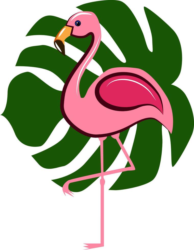 Flamingo, Illustration, Vektor auf weißem Hintergrund.