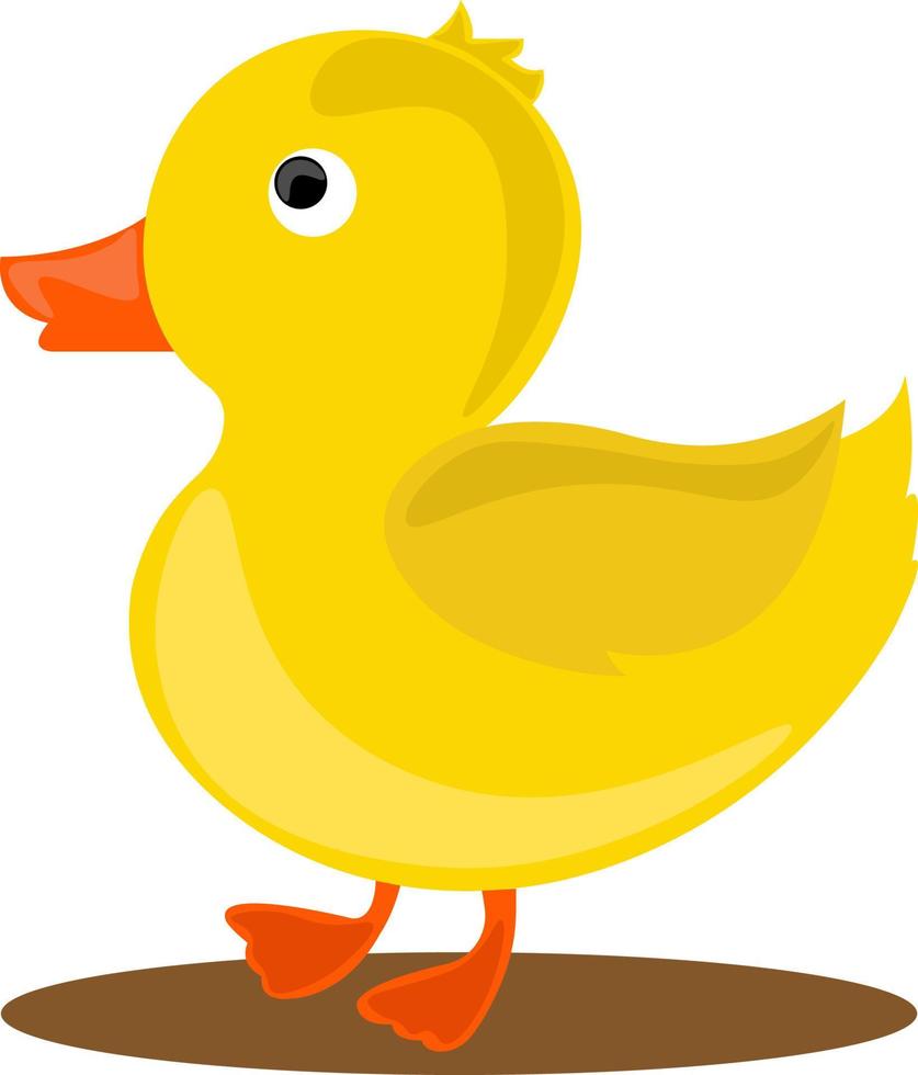 gelbe kleine Ente, Illustration, Vektor auf weißem Hintergrund.