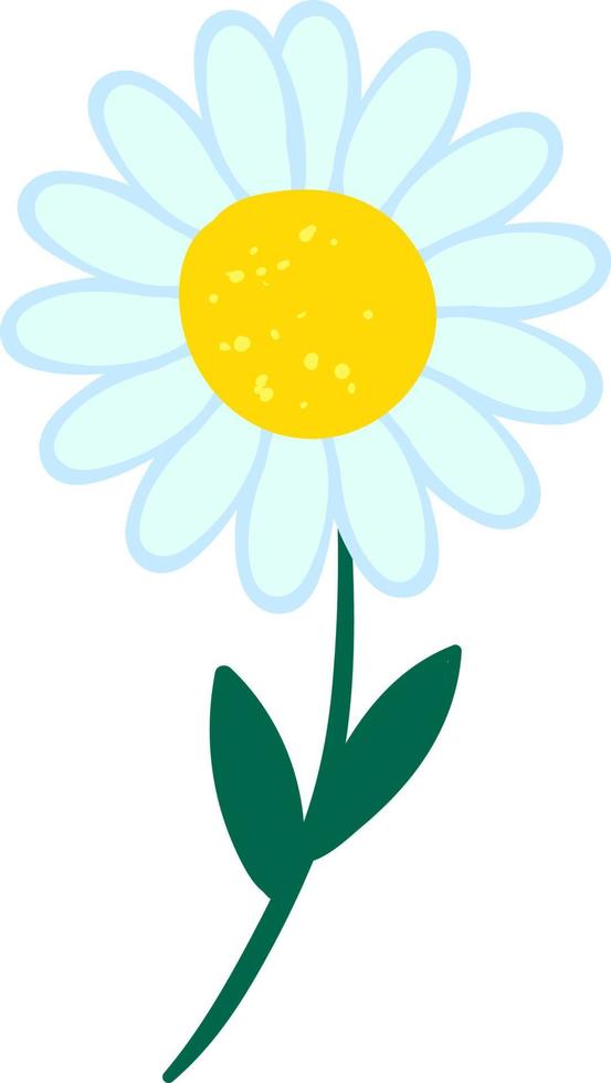 daisy blomma, illustration, vektor på vit bakgrund.
