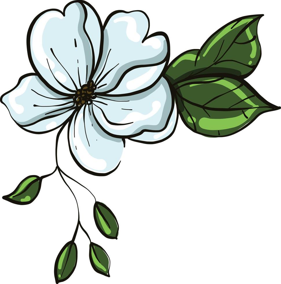 schöne Blume, Illustration, Vektor auf weißem Hintergrund.