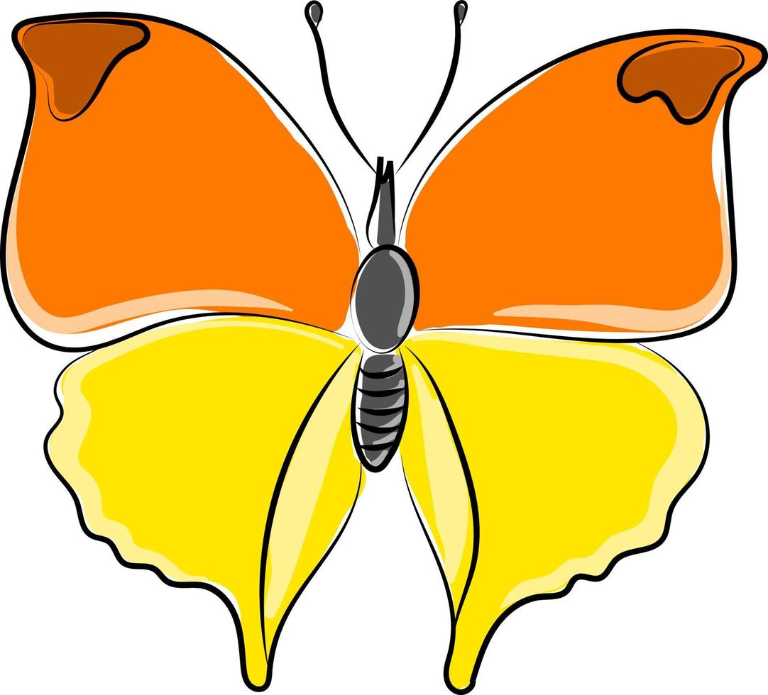 großer Schmetterling, Illustration, Vektor auf weißem Hintergrund.