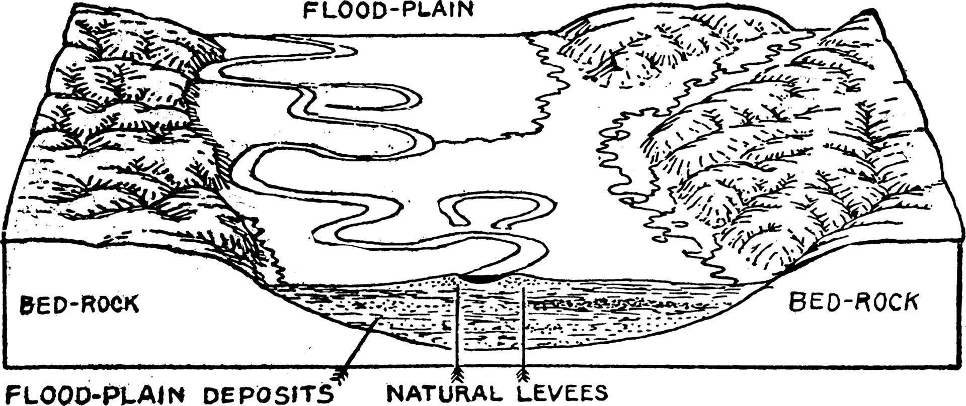 Überschwemmungsgebiet, Vintage Illustration. vektor