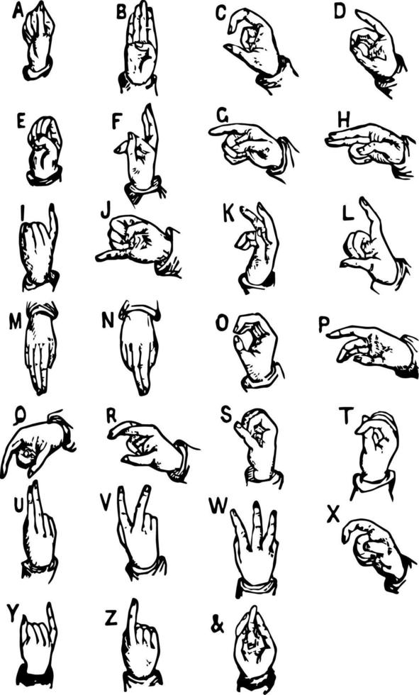 ett räckte alfabet, årgång illustration. vektor