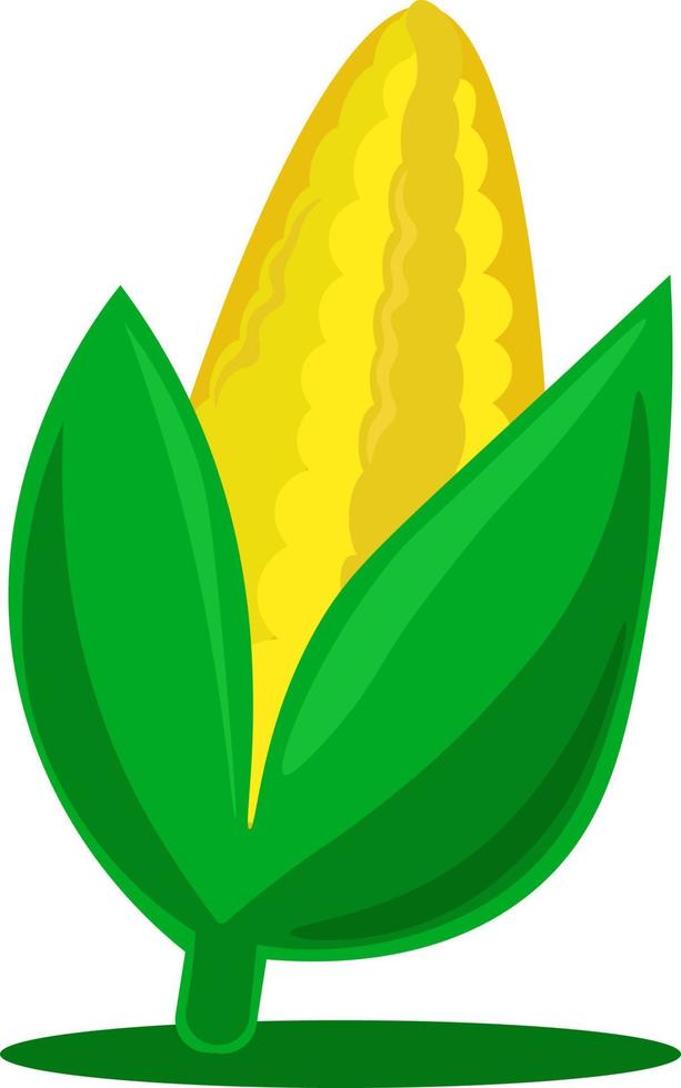 frischer gelber Mais, Illustration, Vektor auf weißem Hintergrund.