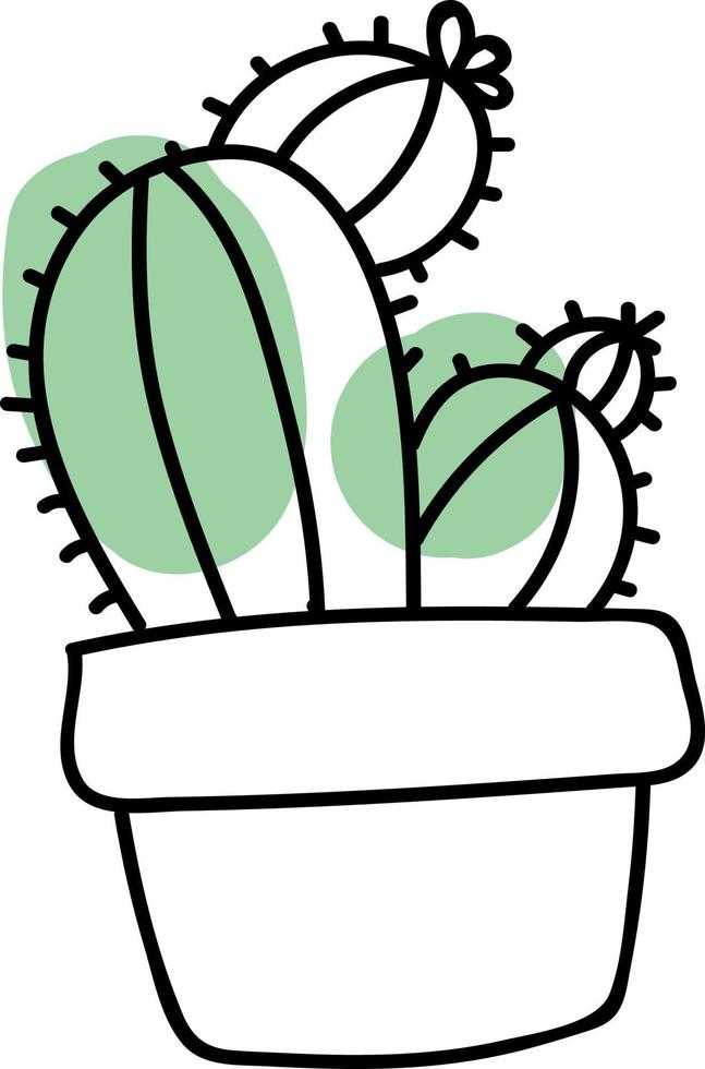 fyra kaktusar i en pott, illustration, vektor på vit bakgrund.