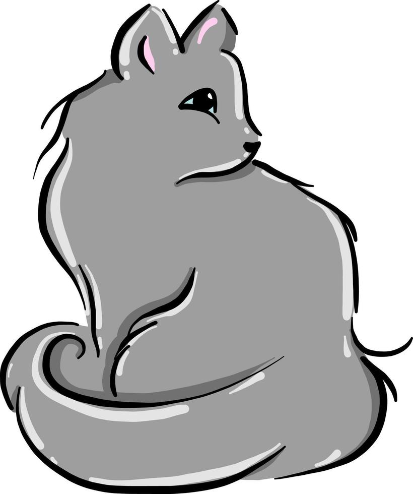 fluffig katt, illustration, vektor på vit bakgrund