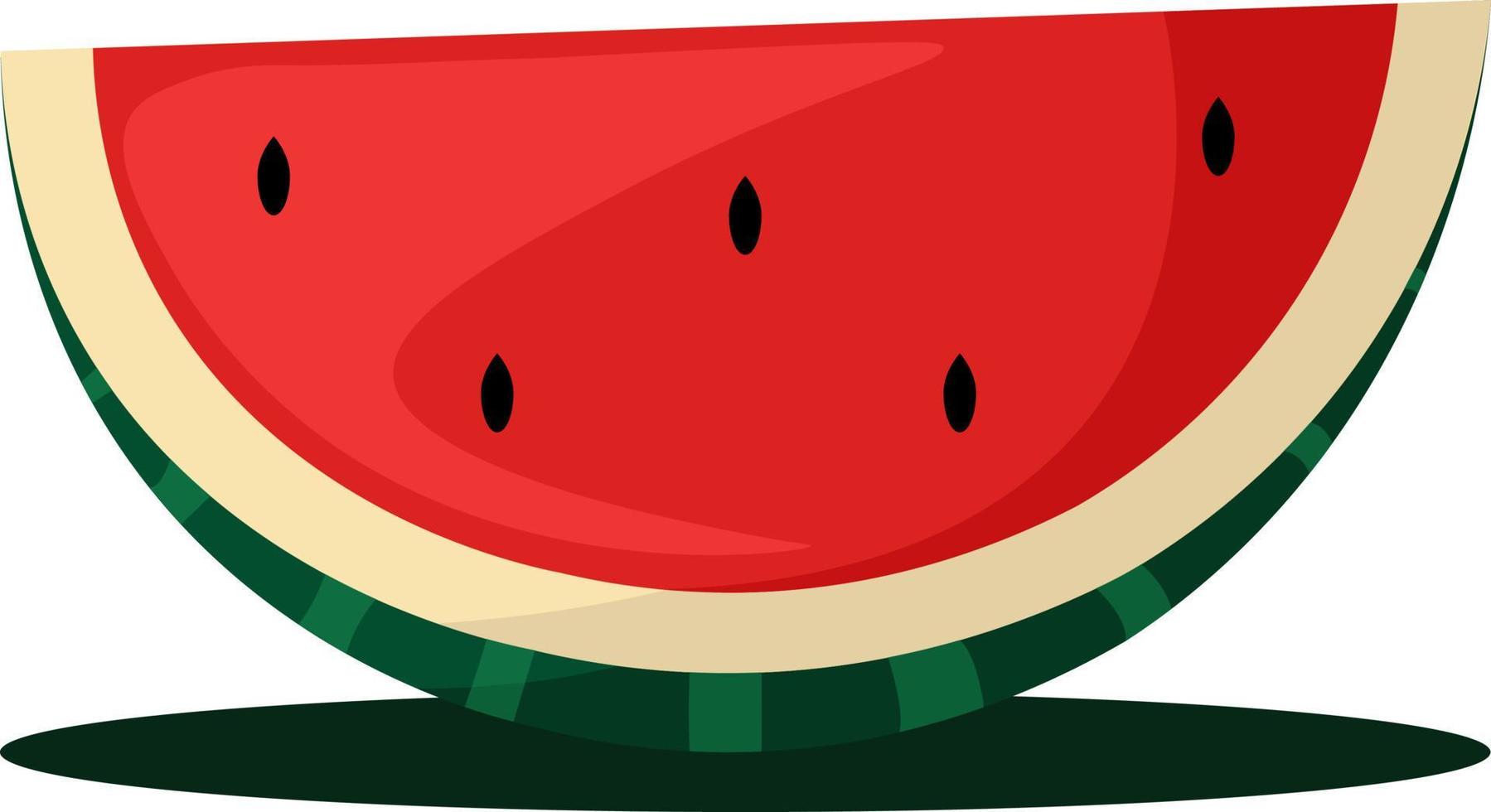 ljuv vattenmelon, illustration, vektor på vit bakgrund.
