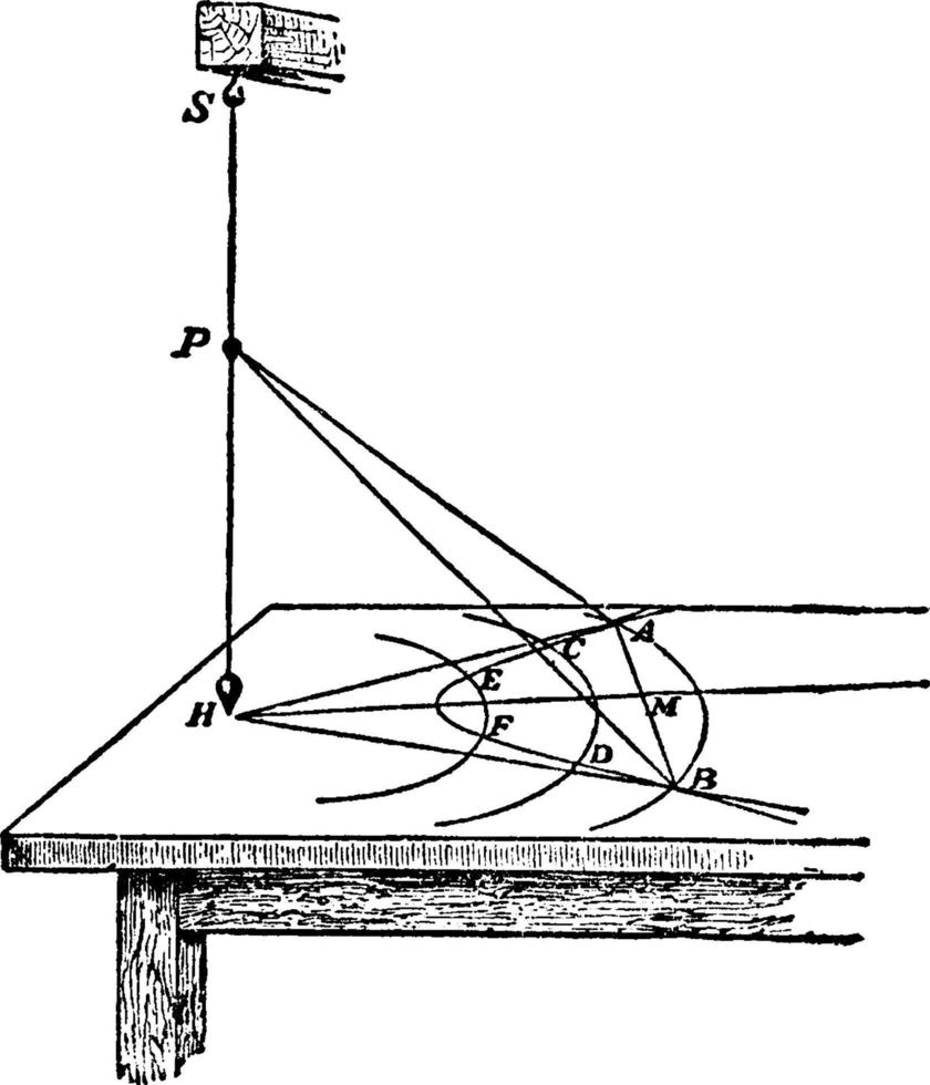 polär rattar, årgång illustration. vektor