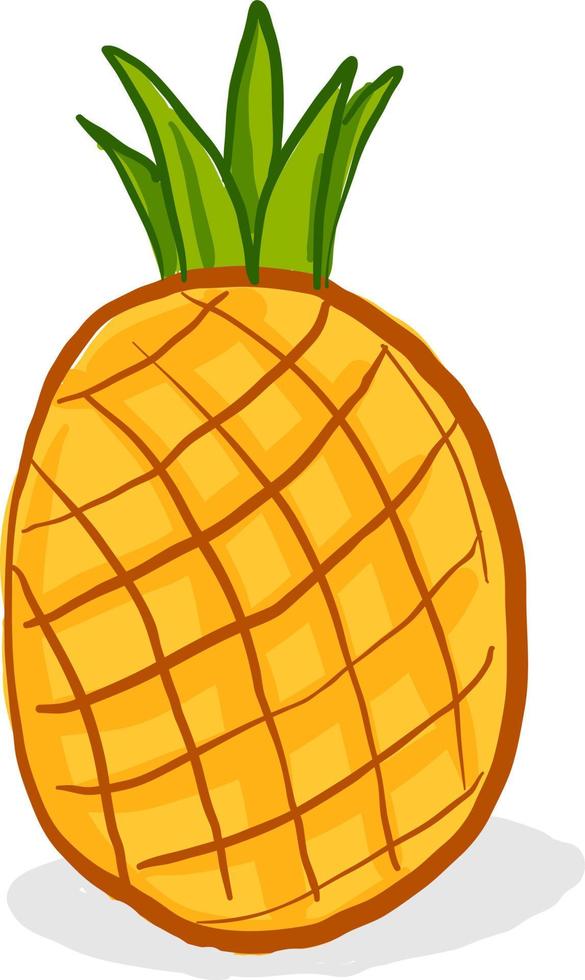 frische Ananas, Illustration, Vektor auf weißem Hintergrund.